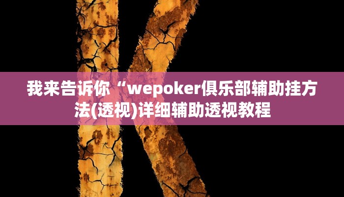 我来告诉你“werplan辅助透视软件脚本”(原来确实是有挂)
