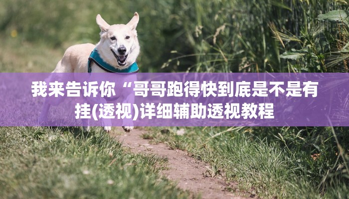 我来告诉你“哥哥跑得快到底是不是有挂(透视)详细辅助透视教程