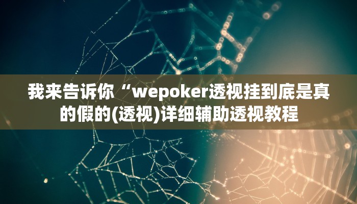 我来告诉你“wepoker透视挂到底是真的假的(透视)详细辅助透视教程