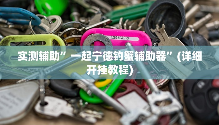 实测辅助”一起宁德钓蟹辅助器”(详细开挂教程)