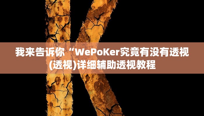我来告诉你“WePoKer究竟有没有透视(透视)详细辅助透视教程
