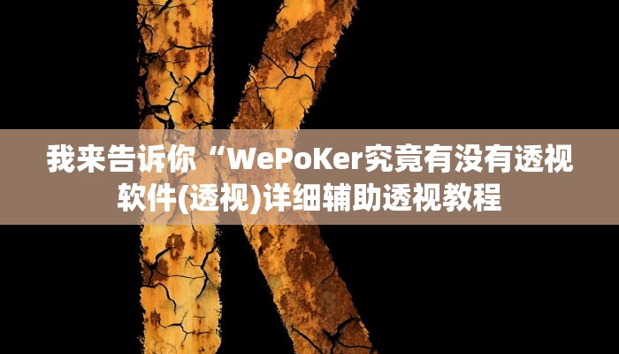 我来告诉你“WePoKer究竟有没有透视软件(透视)详细辅助透视教程