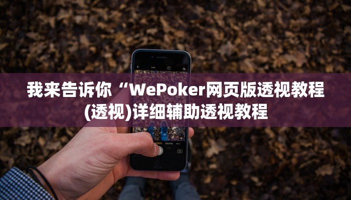 我来告诉你“WePoker网页版透视教程(透视)详细辅助透视教程