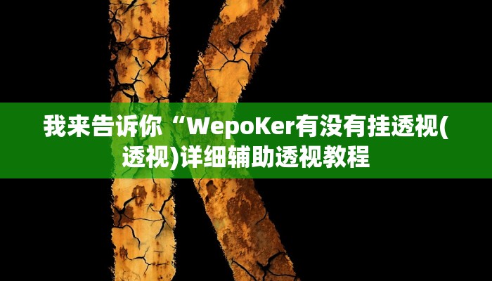 我来告诉你“hhpoker辅助作弊(透视)详细辅助透视教程