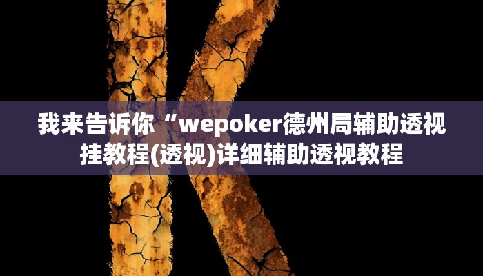 我来告诉你“wepoker德州局辅助透视挂教程(透视)详细辅助透视教程