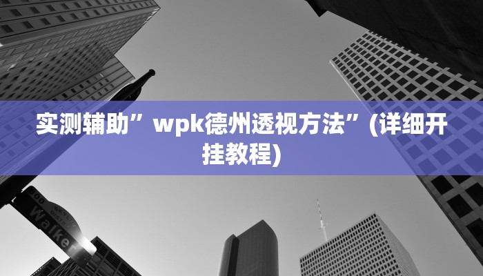 实测辅助”wpk德州透视方法”(详细开挂教程)
