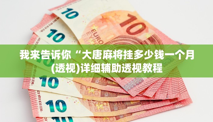 我来告诉你“HHPoKer透视辅助透视挂(透视)详细辅助透视教程