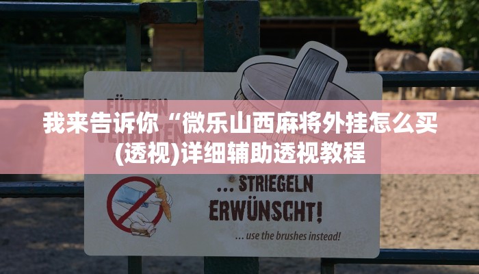 我来告诉你“微乐山西麻将外挂怎么买(透视)详细辅助透视教程
