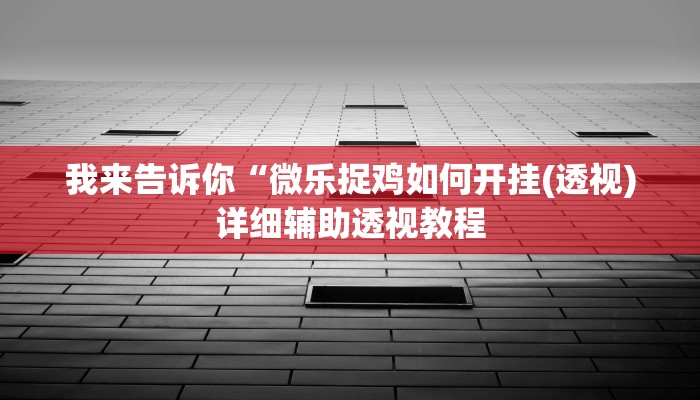 我来告诉你“微乐捉鸡如何开挂(透视)详细辅助透视教程