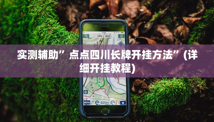 实测辅助”点点四川长牌开挂方法”(详细开挂教程)
