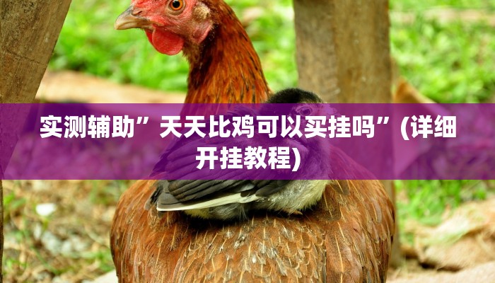 实测辅助”天天比鸡可以买挂吗”(详细开挂教程)
