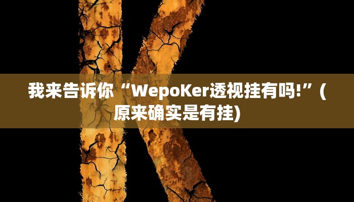 我来告诉你“WepoKer透视挂有吗!”(原来确实是有挂)