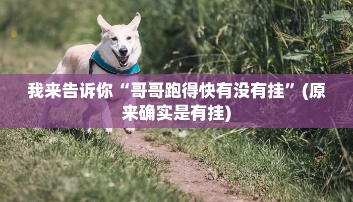 我来告诉你“哥哥跑得快有没有挂”(原来确实是有挂)