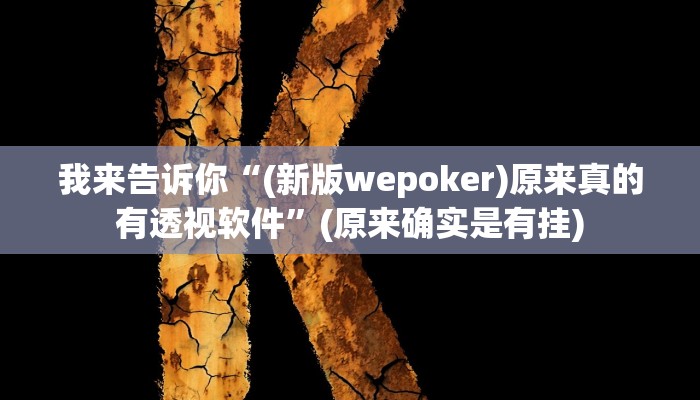 我来告诉你“(新版wepoker)原来真的有透视软件”(原来确实是有挂)