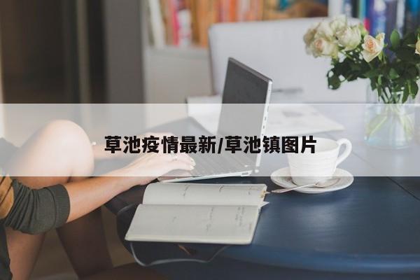草池疫情最新/草池镇图片